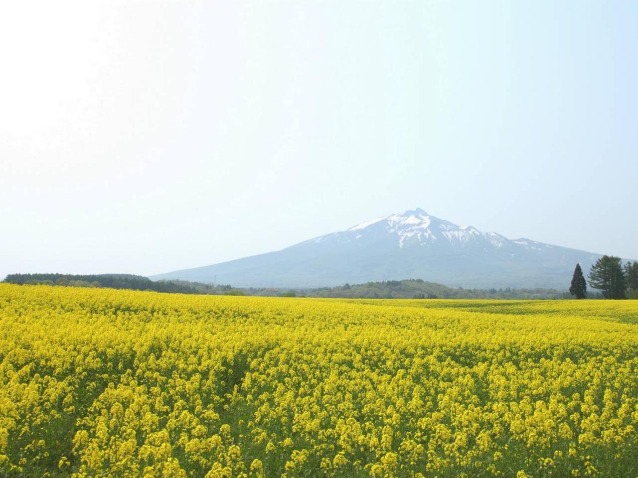 Apa Hotel Aomori Eki Kenchodori Ngoại thất bức ảnh